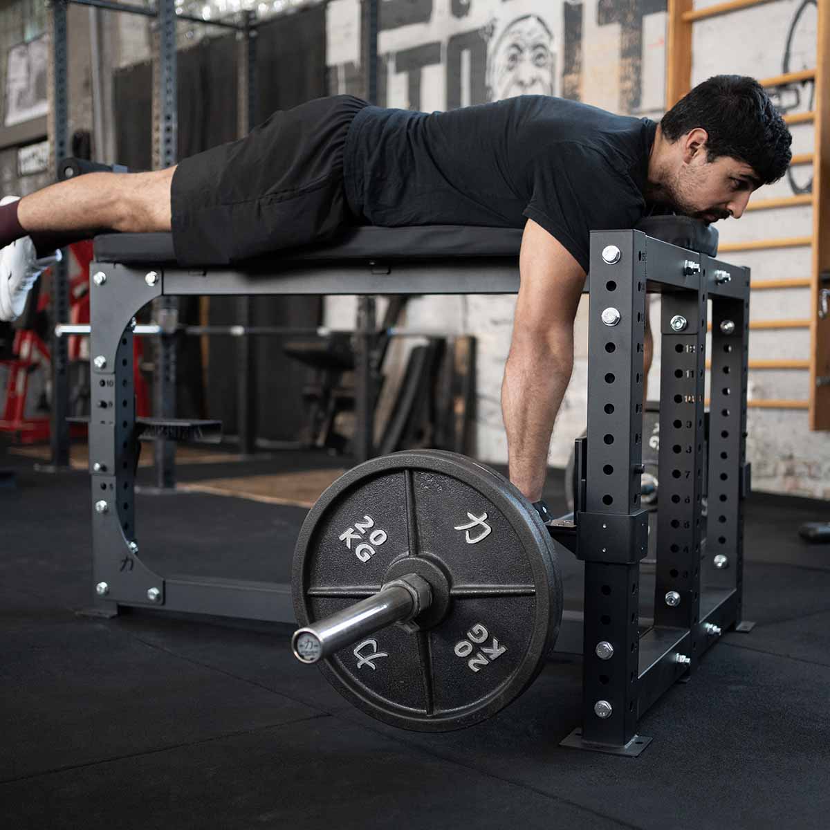 Riot Seal Row Bench, additional view 2 available at Veltron Fitness