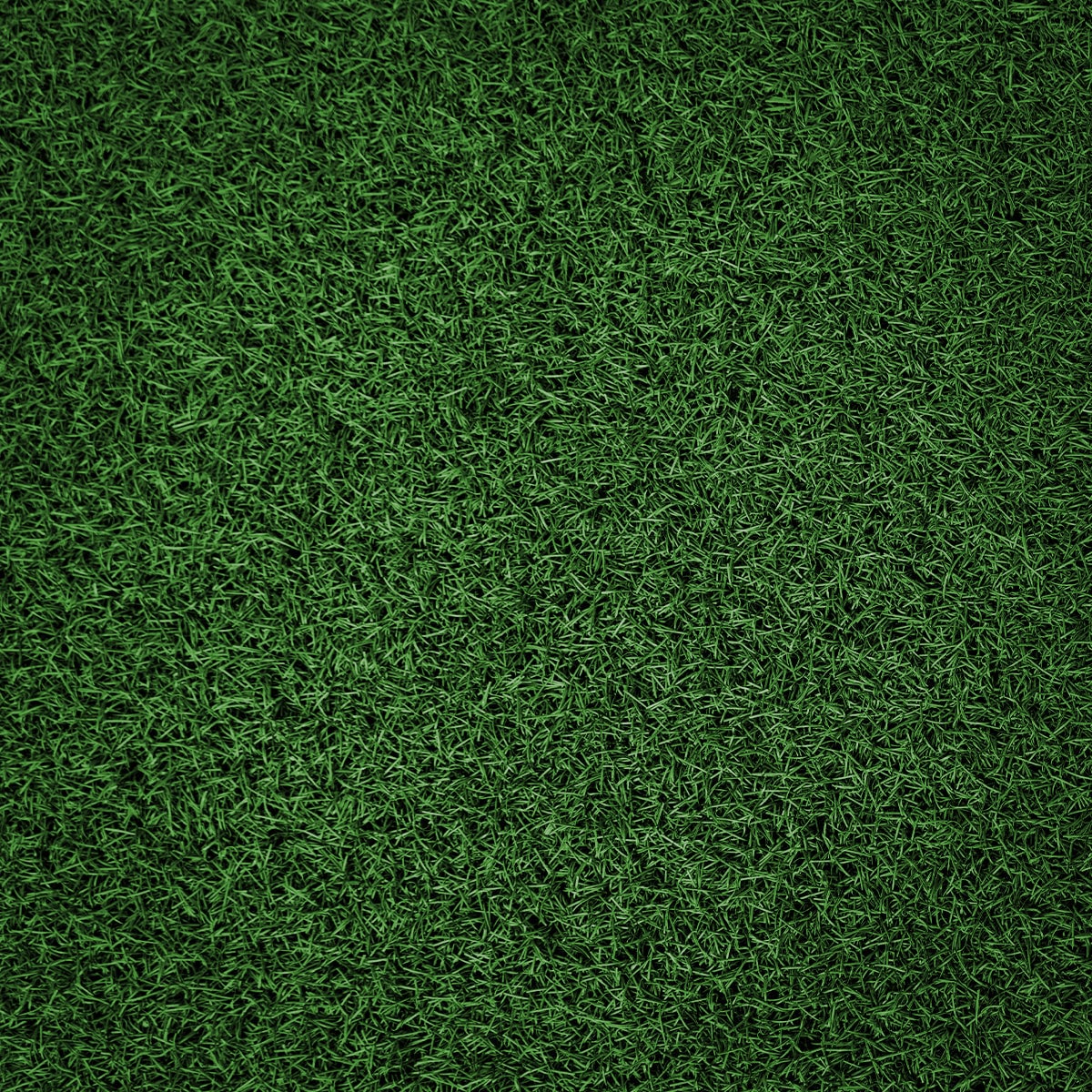 Synthetic Training Turf - Dark Green (10m) available at Veltron Fitness